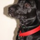 Con 5 meses
